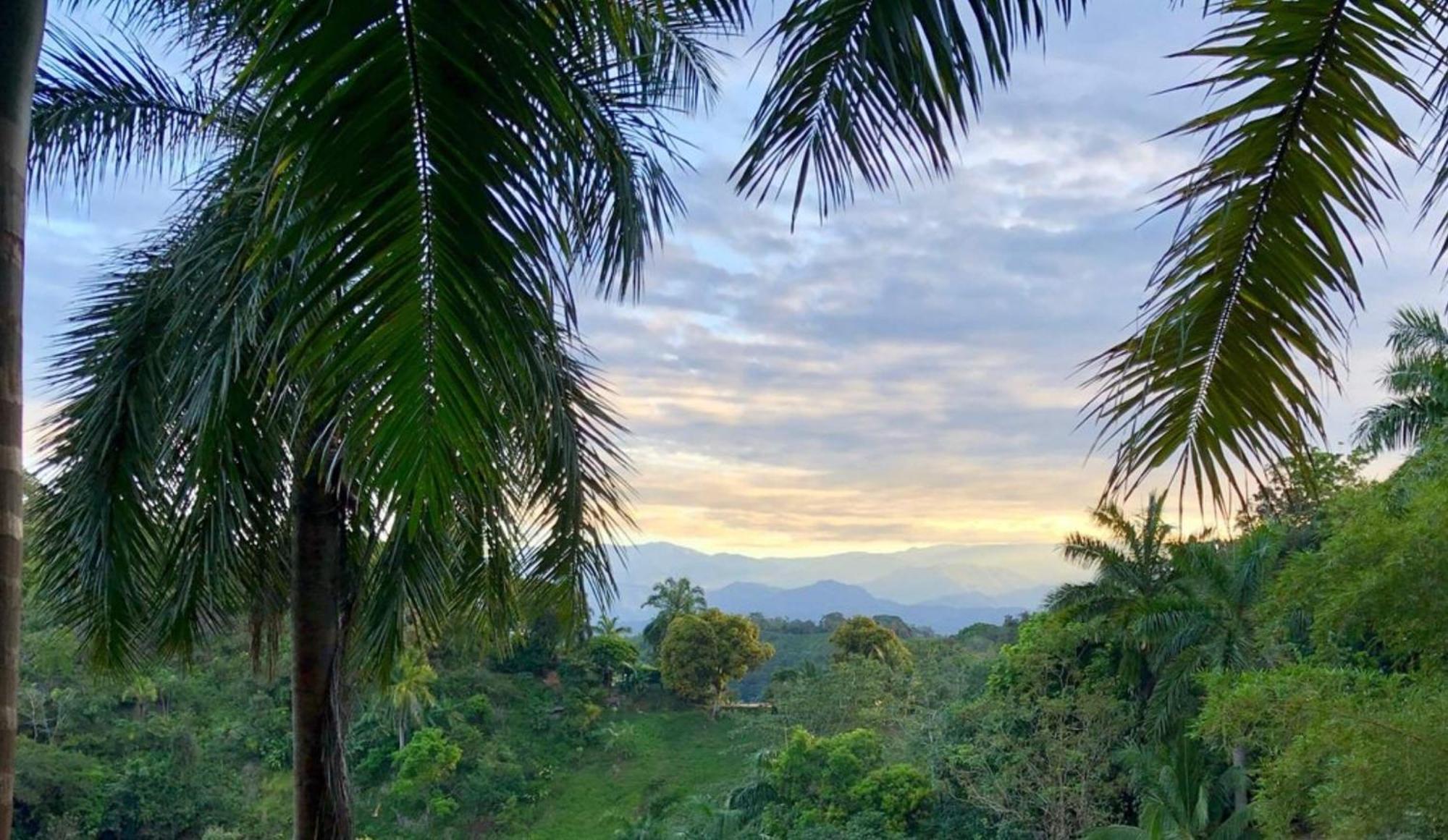 Boutique Cascadas The Falls 3* Manuel Antonio