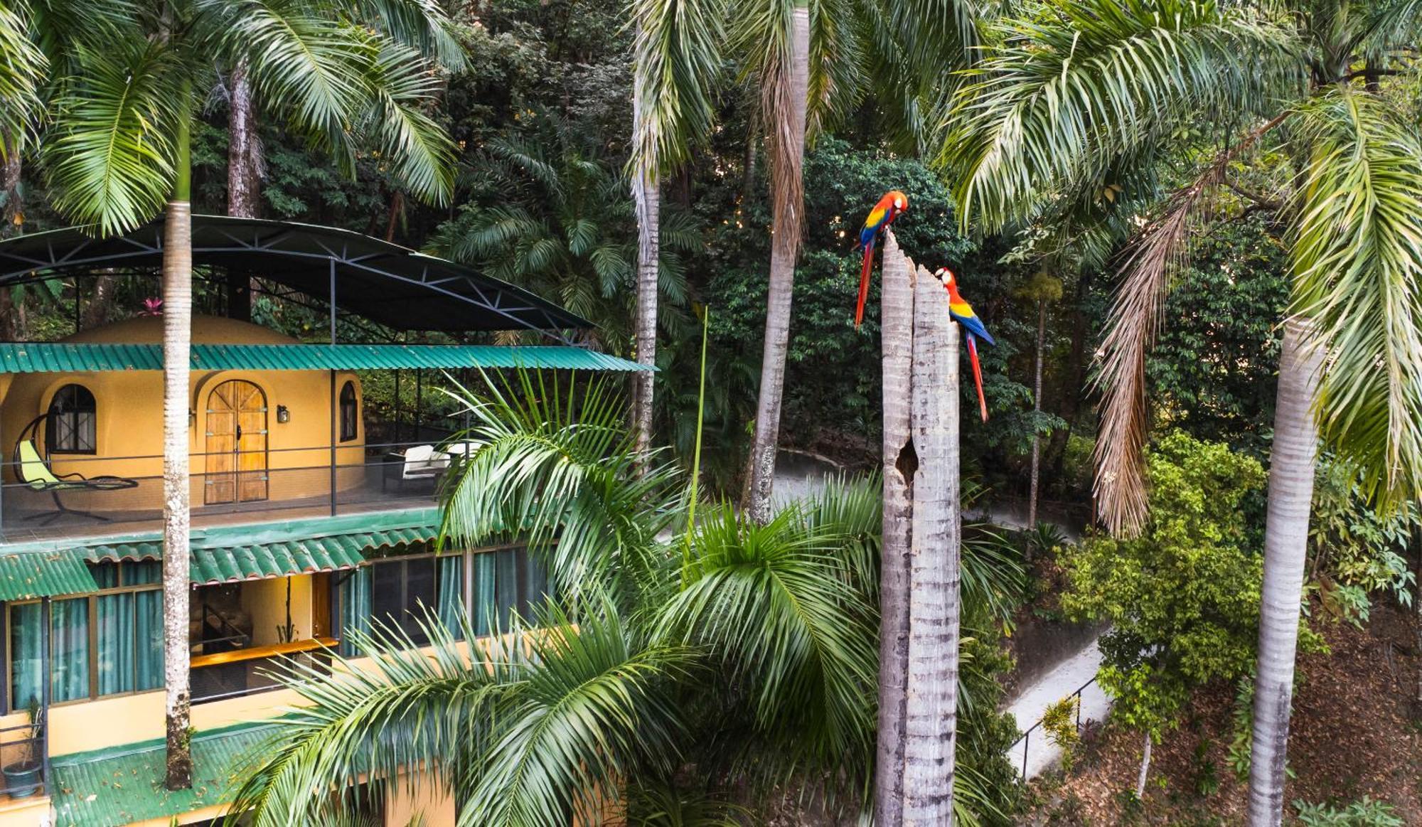Hotel Boutique Cascadas The Falls